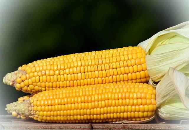 Кукуруза витамины и минералы