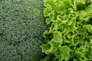 Brassica sylvestris Брокколи